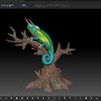 ZBrush3.jpg Three-horned chameleon - (Trioceros jacksonii)-STL 3D print file incl. originals (Cinema, Zbrush) with full-size texture high polygon