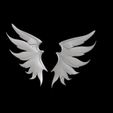 bandicam-2026-03-09-21-37-05-299.jpg wings