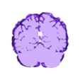 brain C.stl Trippy Brain