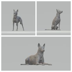 FotoJet.jpg STL file Pharaoh Hound 3D print model・3D printable model to download