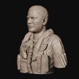 11.jpg Colonel Robin Olds 3d model 3D print model