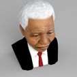 nelson-mandela-bust-ready-for-full-color-3d-printing-3d-model-obj-mtl-fbx-stl-wrl-wrz (12).jpg Nelson Mandela bust ready for full color 3D printing