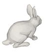 10004.jpg Archivo 3D gratis Conejo・Objeto imprimible en 3D para descargar