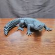 20231028_122457.jpg Uromastyx - Spiny Tailed Lizard - Realistic Dabb Lizard Pet Reptile