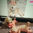 20230816_210219.jpg Articulated Shiba Inu - Plush Dog Flexi Print in Place
