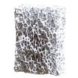13.png Bone Sponge Printable