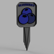 Blueberry-ID-Stake-v2.png Gardening Identification Stakes - Complete Set