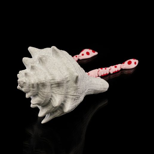 4.jpg Sky, the Squid