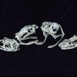 snake-skulls-bundle-image-stl-3d-print2.jpg Realistic Snake Skull Collection