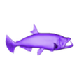 HYDROLYCUS SCOMBEROIDES_SubTool3.stl PAYARA