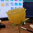 ROSE Mechanised Articulated Flower