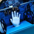 5.jpeg Human Hand real 3d model