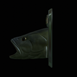 Fr-4.png fish head bass trophy statue detailed texture for 3d printing