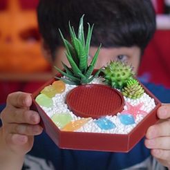 VideoCapture_20210709-152742.jpg Free STL file Coaster flowerpot・3D print object to download
