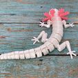 IMG_3997.jpg Free STL file ARTICULATED AXOLOTL - PRINT-IN-PLACE ARTICULATED REALISTIC AXOLOTL・3D printable model to download