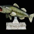 Bass-trophy-15.png Largemouth Bass / Micropterus salmoides fish in motion trophy statue detailed texture for 3d printing