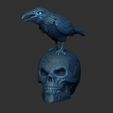 Shop3.jpg Skull with raven eyes closed - hollow inside