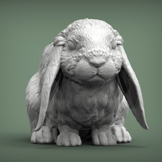 Rabbit2.jpg Kaninchen American Fuzzy Fop 3D-Druck Modell