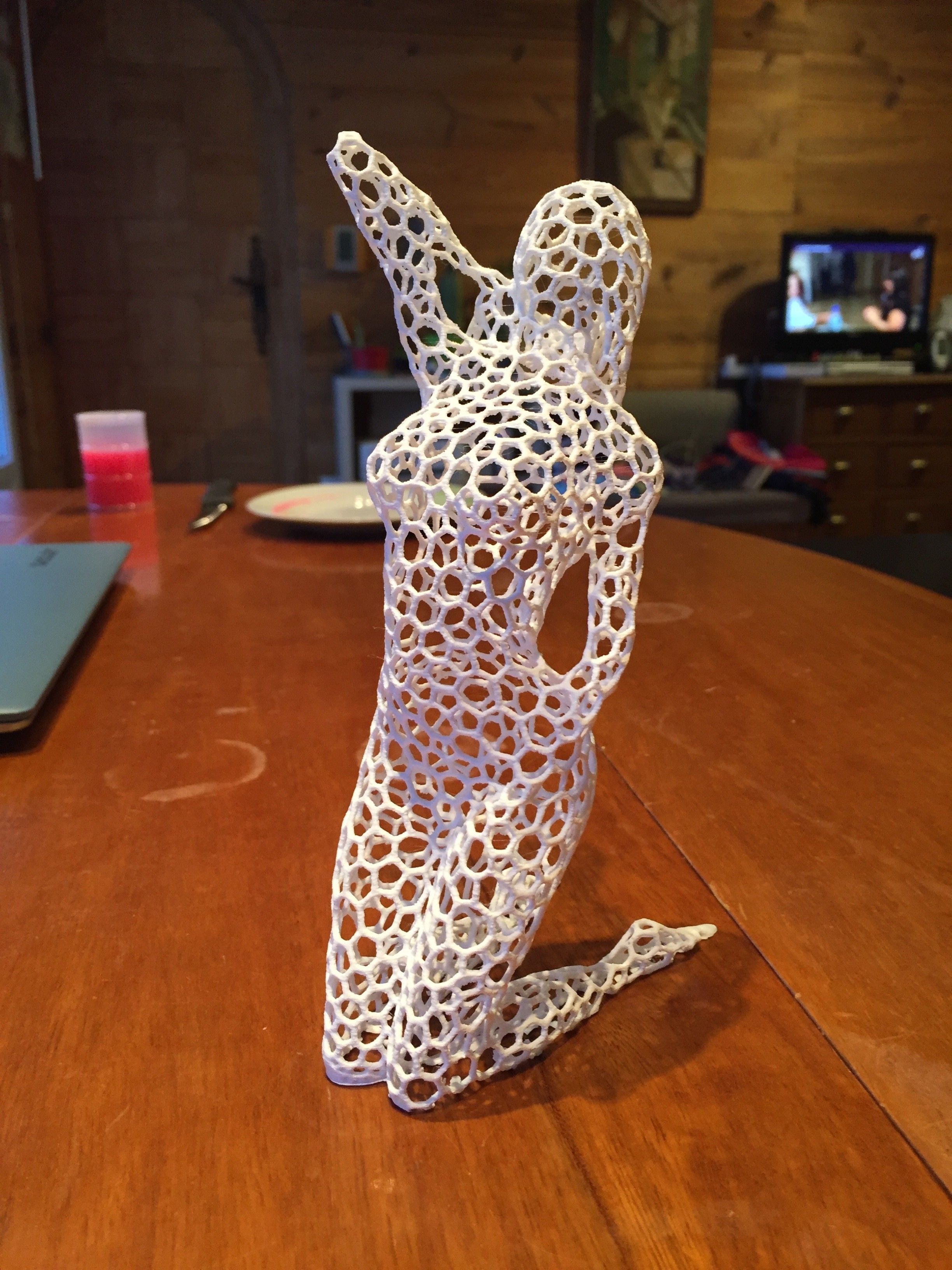 IMG_1849.JPG STL-Datei Voronoi woman poses herunterladen • Objekt zum 3D-Drucken, juanpix