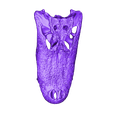 hc-2-repaired.stl Free STL file Crocodile Skull・3D printer model to download