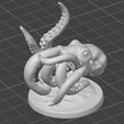 Octopus-2.jpg Octopus Octopus