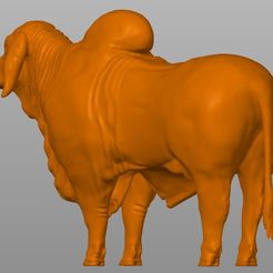 TORO2.jpg STL-Datei STL BRAHMAN BULL・Modell zum Herunterladen und 3D-Drucken