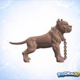 jpg_frame_12.jpg Chained Pitbull Spiked Collar Statue – RDW3D-QV8B0