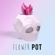 1.jpg polygonal skull/flower pot/maceta