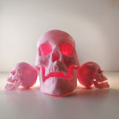 IMG_20200526_175834.jpg Free STL file SKULL LAMP - HighPoly3DScan・Template to download and 3D print
