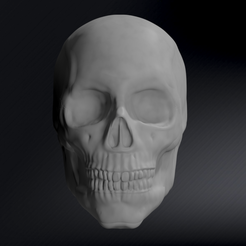 Skulls_Gimp_Cover_Square_.png Male Skull Sculpt