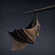 Flying_fox_4.jpg Renard volant - Chauve-souris frugivore