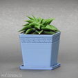 cm6.png COMMERCIAL USE-SUCCULENT VASE COLLECTION SOO3