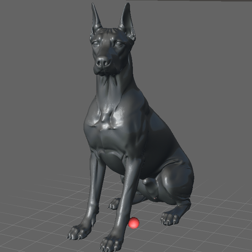 doberman-cropped-ears.png Dobermann kupierte Ohren