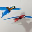 IMG_20240621_163443181.jpg Flying Macaw