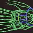 PSfinal0021.jpg Human venous system schematic 3D