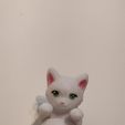 Kitty Keychain - Flexi Articulated Animal (print in place, no supports)