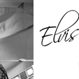 elvis-1.png 2 Lamps Litho elvis