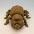 FLEXI BEETLE