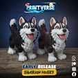 Siberian-Husky-DSC_0000_Siberian-Husky-Shot-C.jpg Flexy Siberian Husky With Snap Fit Head