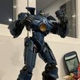 IMG_4730.jpeg Gypsy danger(articulated)