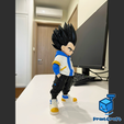 vegeta5.png VEGETA URBAN VIBES (MULTIPARTS/3MF/NoAMS)