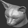 20.jpg Abyssinian cat head for 3D printing