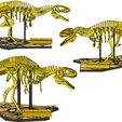 acro_-pic3.jpg [3Dino Puzzle] Acrocanthosaurus