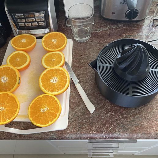 IMG_6417.jpg Rotierende Orangenpresse