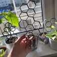 1644744008834.jpg Hexagonal plant support
