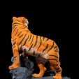 The-Bengal-Tiger-Resin-3.jpg The Bengal Tiger
