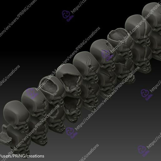 4-copy.jpg Conjunto de crânios humanos.