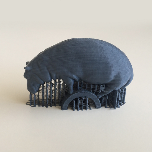 Capture_d__cran_2015-08-11___10.54.52.png Free STL file Hippo・Object to download and to 3D print, David_Mussaffi
