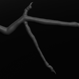 1c160055-c529-47cc-b423-17437cb41fb0.png конечность крыла