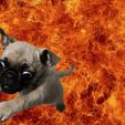dogs-dog-fire-flame-wallpaper-preview.jpg Big Flamethrower For A Big Dog